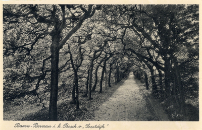 7988 Gezicht in de berceaux in het Baarnsche Bosch te Baarn.